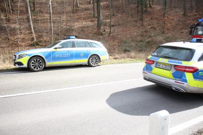 Allmersbach im Tal: Baum kracht auf Auto 